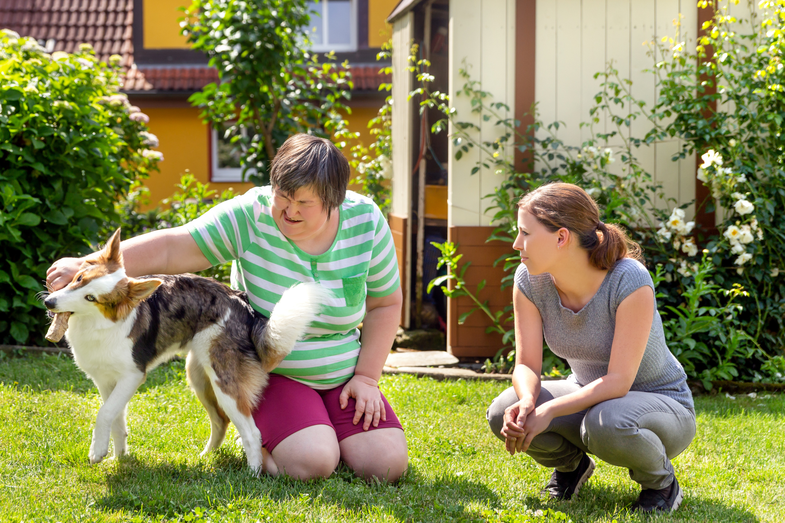 Eldre dame leker med hund. Foto