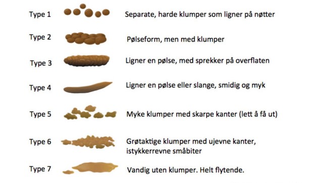 bristol skala avføringskonsistens