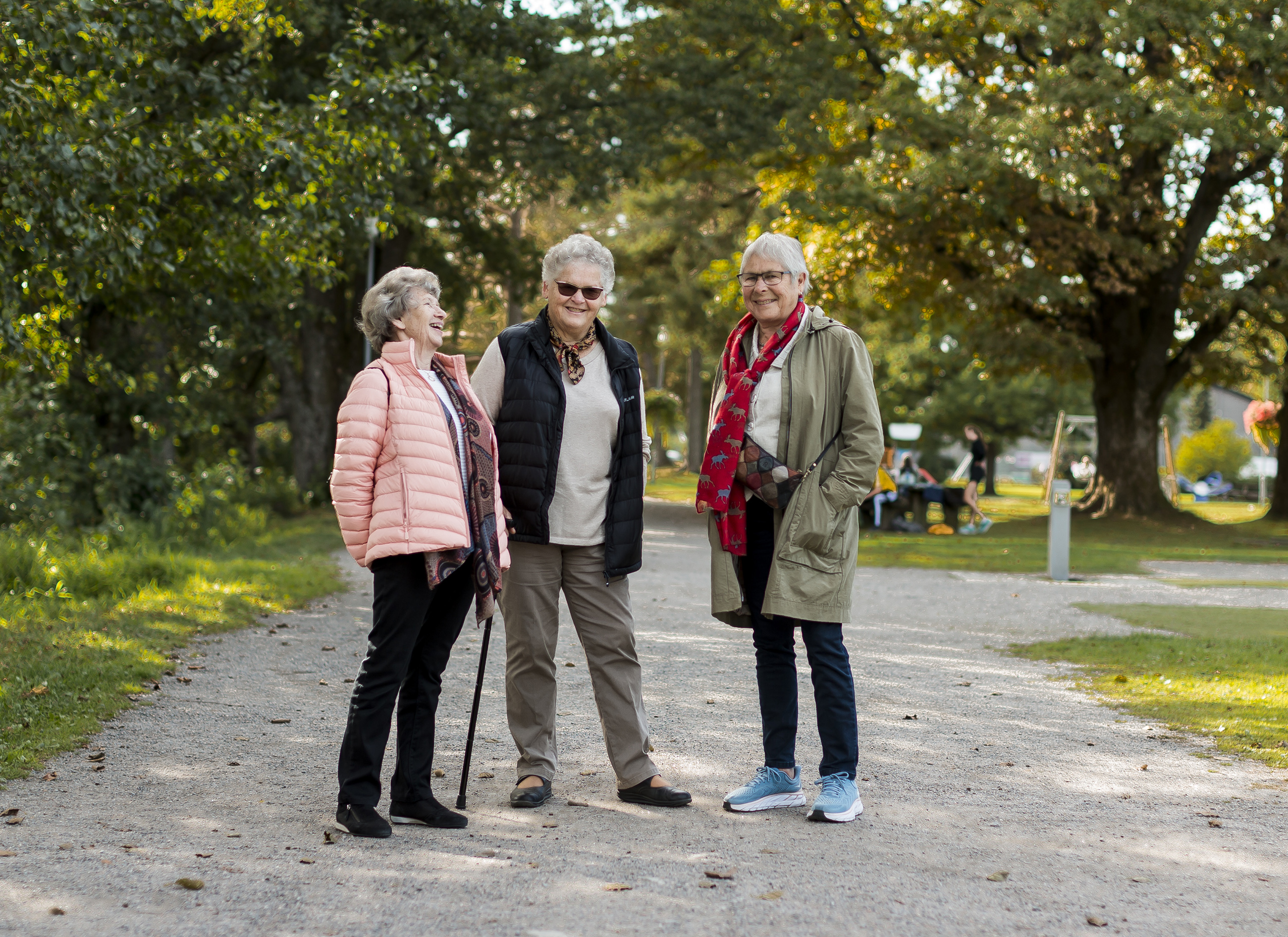 Tre eldre venniner ute på tur i en park