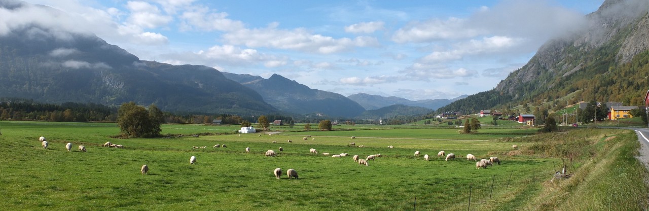 Landskapsbilde fra Hemsedal