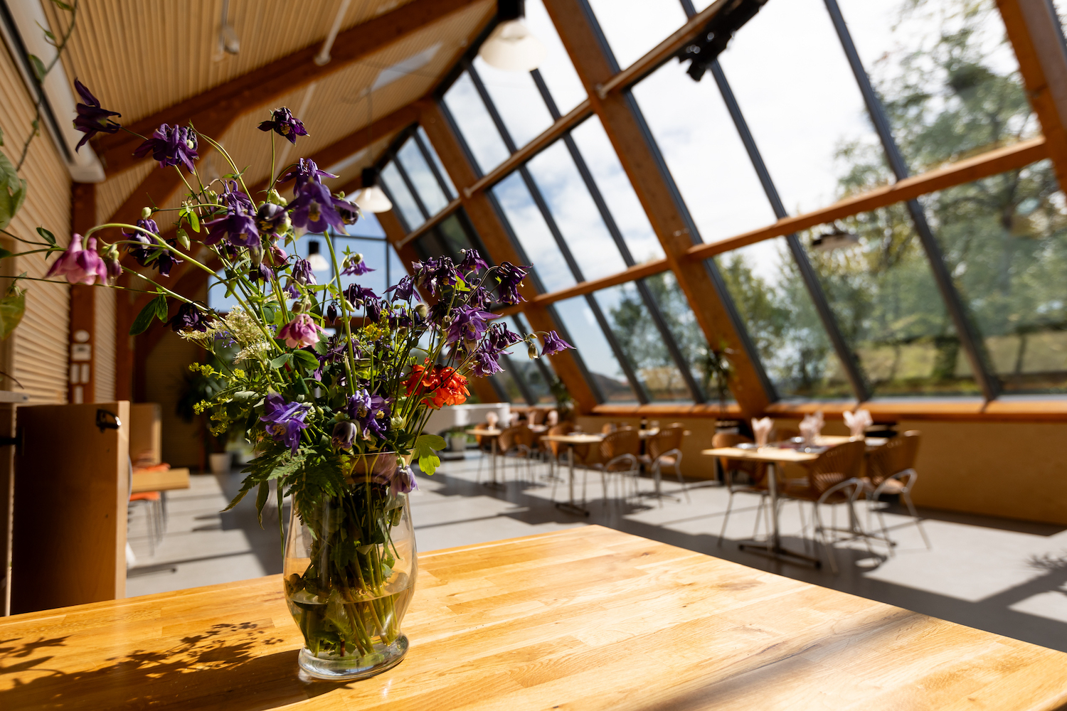 Blomster på bordet i veksthuset til boliger for eldre i Bergen
