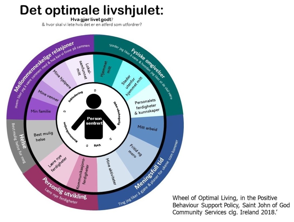 Positiv atferdsstøtte - det optimale livshjulet