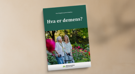 Illustrasjonsbilde av heftet 