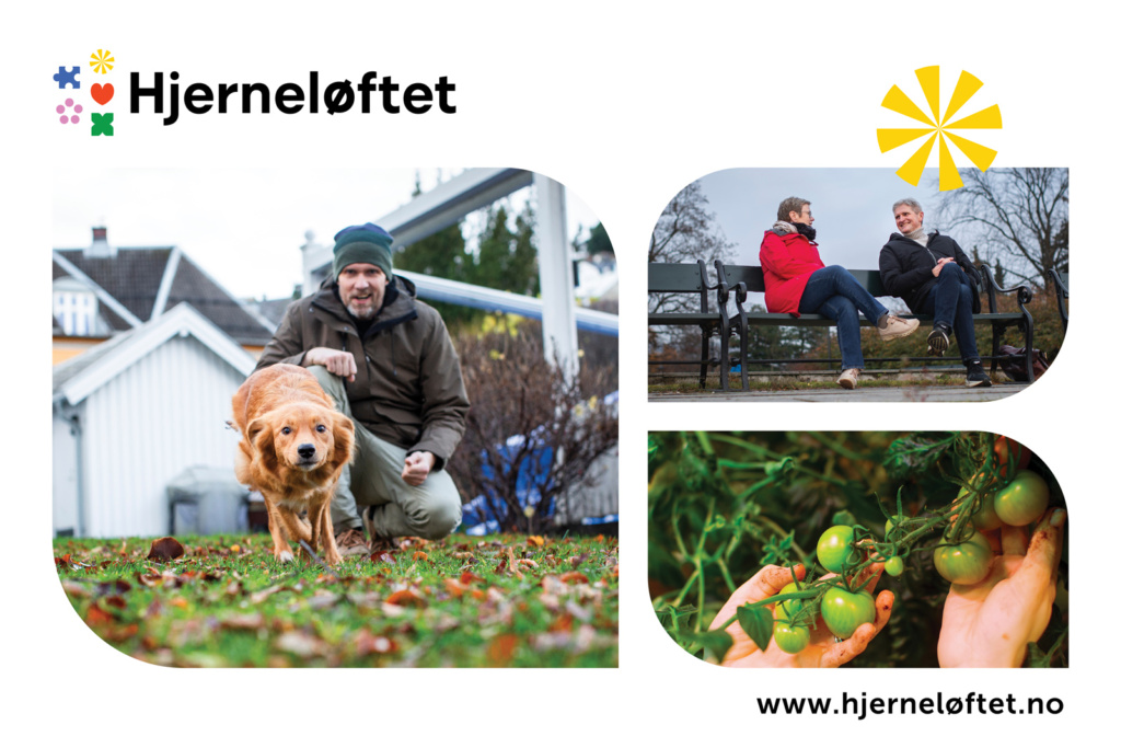Hjerneløftet. Bilde av forsiden på nettstedet hjerneløftet.no